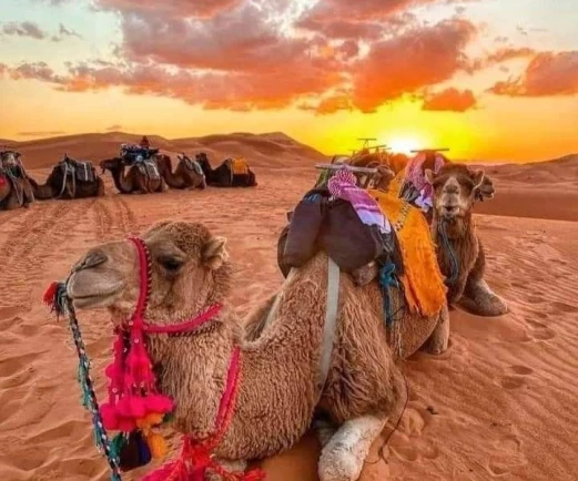 Viaggi Deserto Marocco